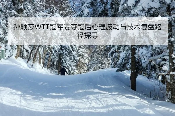 孙颖莎WTT冠军赛夺冠后心理波动与技术复盘路径探寻